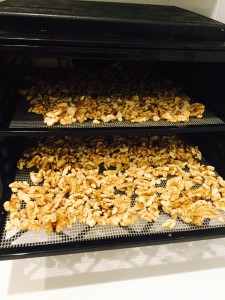 Walnuts in dehydrator